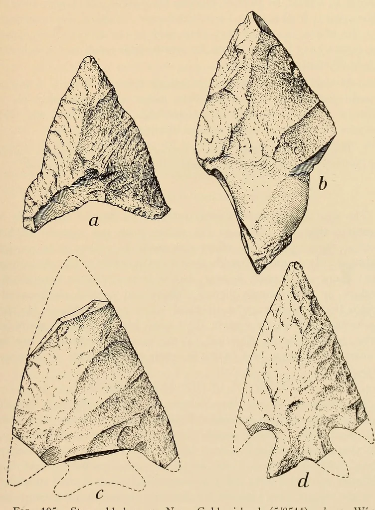 An illustration from The Indians of Tierra del Fuego, 1928, leaf 233