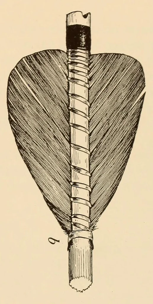An illustration from The Indians of Tierra del Fuego, 1928, leaf 87