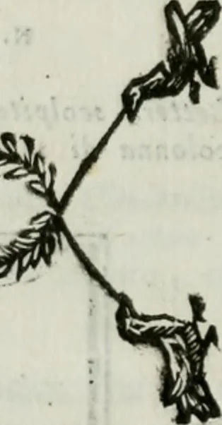 An illustration from Indicazione antiquaria per la villa suburbana dell'eccellentissima casa Albani, 1785, leaf 137