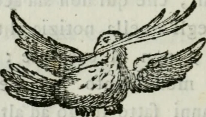 An illustration from Indicazione antiquaria per la villa suburbana dell'eccellentissima casa Albani, 1785, leaf 141