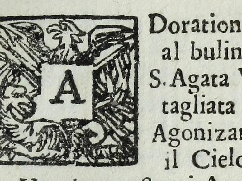 An illustration from Indice delle stampe intagliate in rame, al bulino & all' acqua forte, esistenti nella stamperia di Gio. Giacomo de Rossi alla Pace .., 1689, leaf 111
