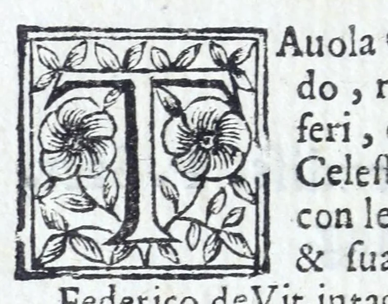 An illustration from Indice delle stampe intagliate in rame, al bulino & all' acqua forte, esistenti nella stamperia di Gio. Giacomo de Rossi alla Pace .., 1689, leaf 8