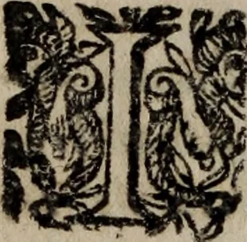 An illustration from Indiculus universalis, rerum ferè omnium, quae in mundo sunt, scientiarum item, artiúmque nomina, aptè, brevitérque colligens. L'univers en abregé .., 1679, leaf 13