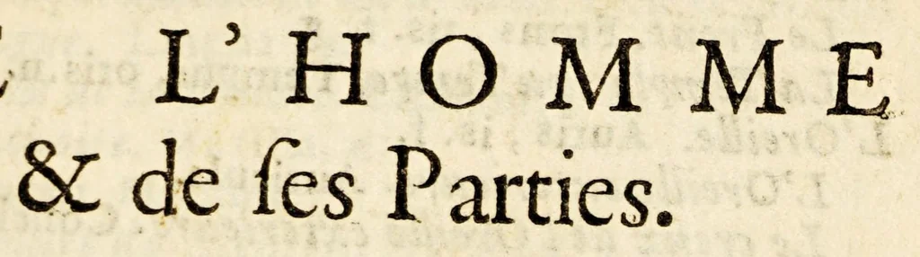 An illustration from Indiculus vniuersalis, rerum ferè omnium, quae in mundo sunt, scientiarum item, artiúmque nomina, aptè, breuitérque colligens. : L'vniuers en abregé, où sont contenus en diuerses listes, presque tous les noms des ouurages de la nature, de toutes les sciences, & de tous les arts, auec leurs principaux termes., 1667, leaf 101