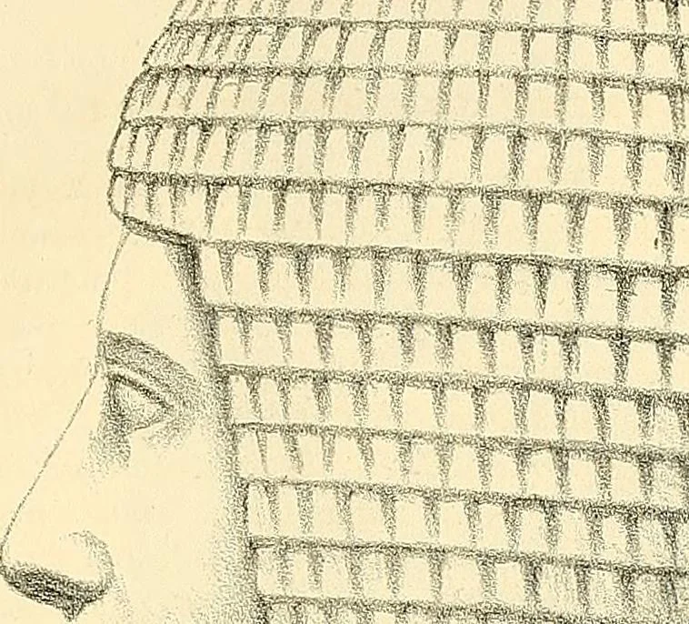 An illustration from Indigenous races of the earth;, 1857, leaf 124