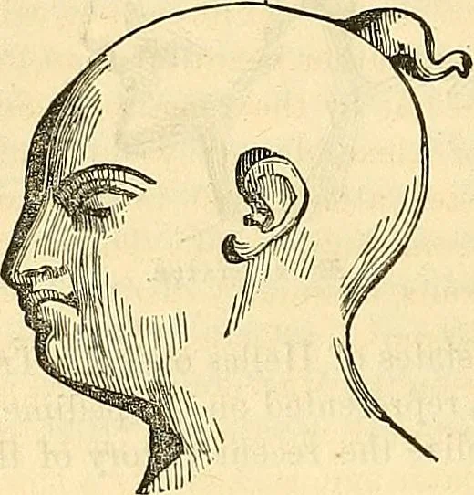 An illustration from Indigenous races of the earth;, 1857, leaf 191