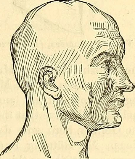 An illustration from Indigenous races of the earth;, 1857, leaf 200
