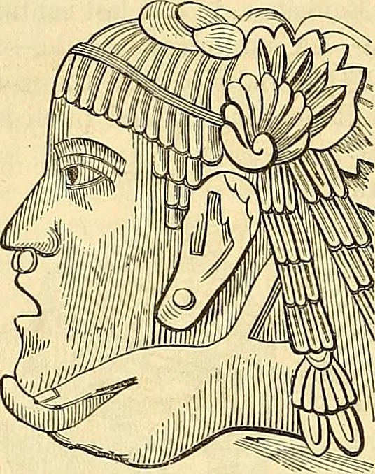 An illustration from Indigenous races of the earth;, 1857, leaf 209