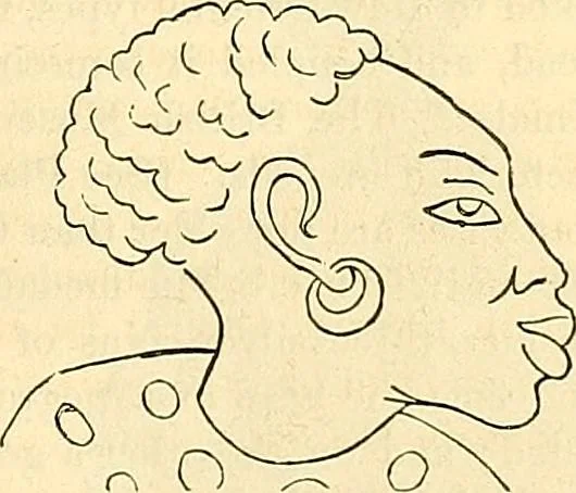 An illustration from Indigenous races of the earth;, 1857, leaf 214