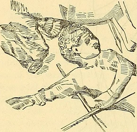 An illustration from Indigenous races of the earth;, 1857, leaf 215