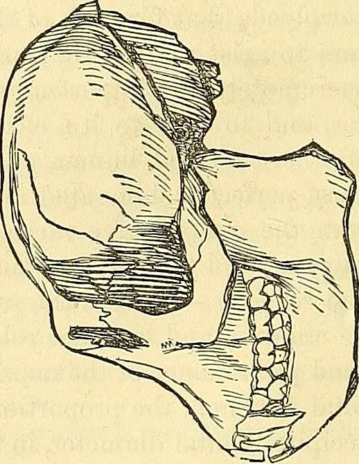 An illustration from Indigenous races of the earth;, 1857, leaf 233