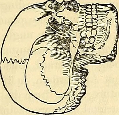 An illustration from Indigenous races of the earth;, 1857, leaf 234