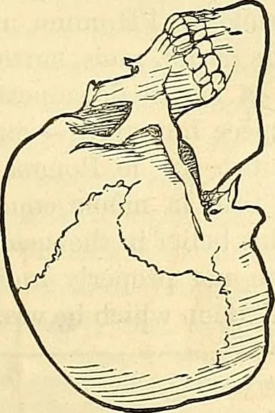 An illustration from Indigenous races of the earth;, 1857, leaf 234