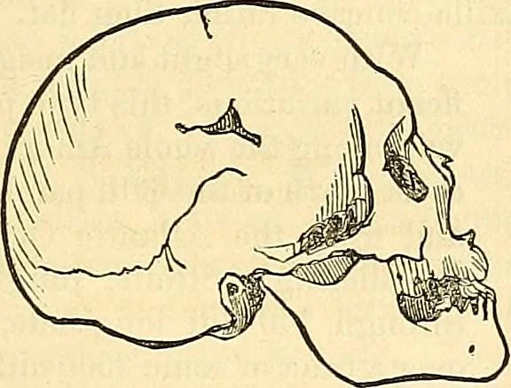 An illustration from Indigenous races of the earth;, 1857, leaf 286