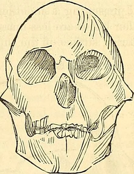 An illustration from Indigenous races of the earth;, 1857, leaf 286