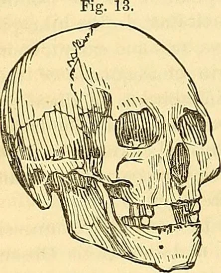 An illustration from Indigenous races of the earth;, 1857, leaf 291