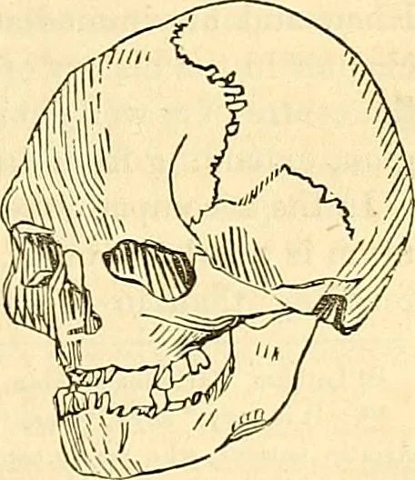 An illustration from Indigenous races of the earth;, 1857, leaf 296