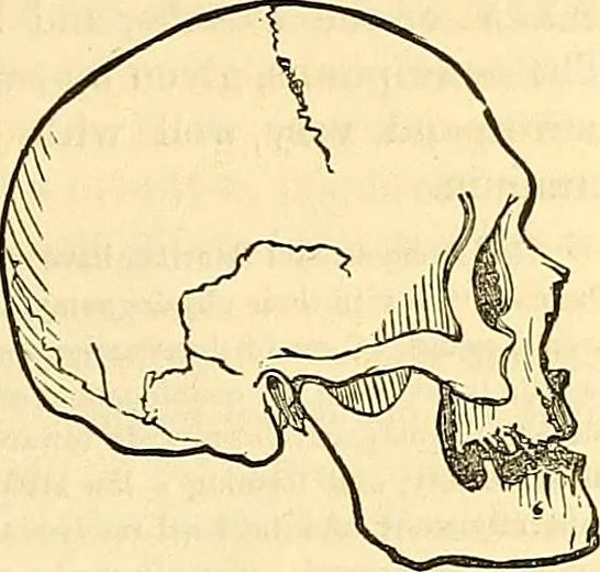 An illustration from Indigenous races of the earth;, 1857, leaf 298