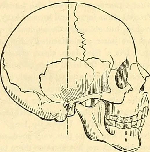 An illustration from Indigenous races of the earth;, 1857, leaf 302