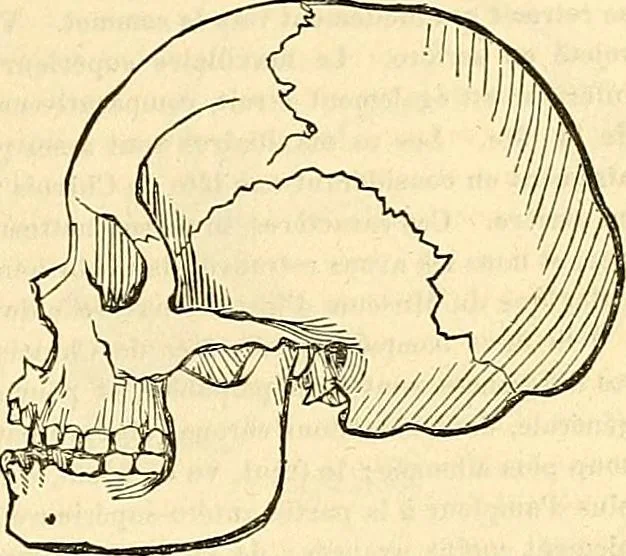 An illustration from Indigenous races of the earth;, 1857, leaf 304