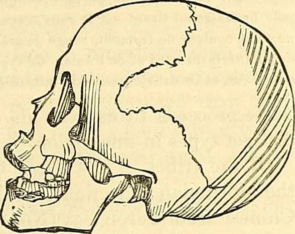 An illustration from Indigenous races of the earth;, 1857, leaf 306