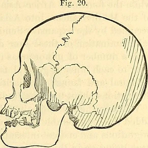 An illustration from Indigenous races of the earth;, 1857, leaf 310