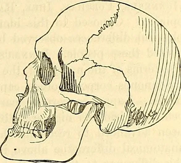 An illustration from Indigenous races of the earth;, 1857, leaf 312