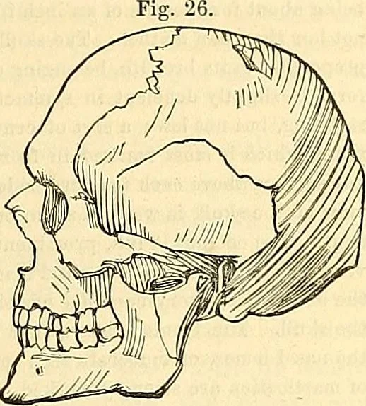 An illustration from Indigenous races of the earth;, 1857, leaf 324