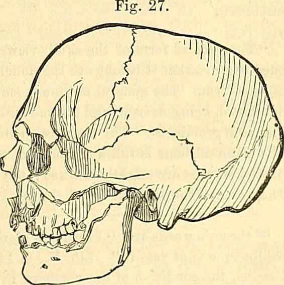 An illustration from Indigenous races of the earth;, 1857, leaf 324