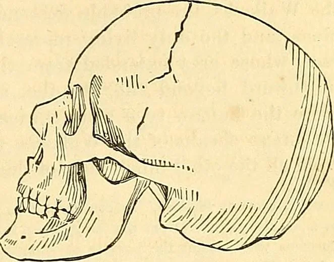 An illustration from Indigenous races of the earth;, 1857, leaf 334
