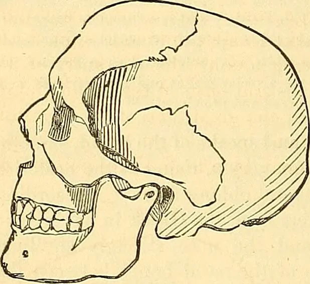 An illustration from Indigenous races of the earth;, 1857, leaf 339