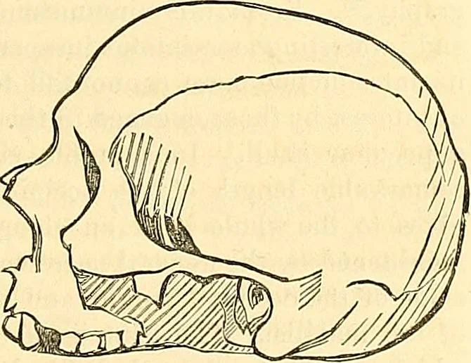 An illustration from Indigenous races of the earth;, 1857, leaf 340