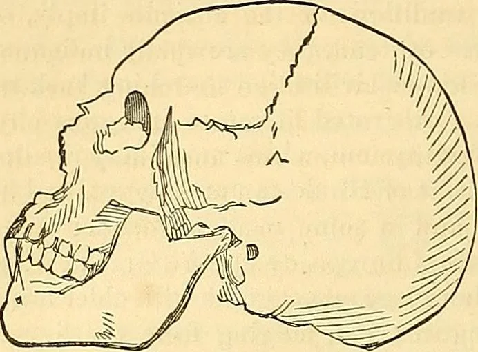 An illustration from Indigenous races of the earth;, 1857, leaf 341
