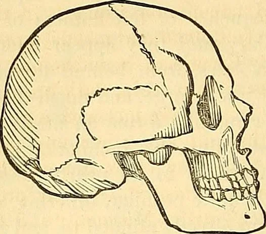 An illustration from Indigenous races of the earth;, 1857, leaf 343