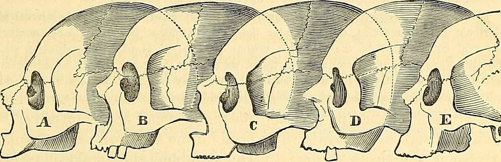 An illustration from Indigenous races of the earth;, 1857, leaf 346