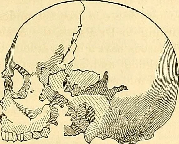 An illustration from Indigenous races of the earth;, 1857, leaf 346