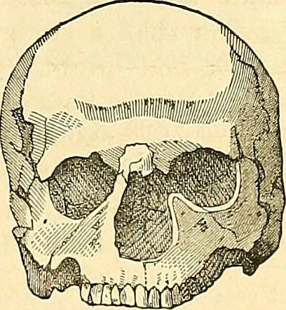 An illustration from Indigenous races of the earth;, 1857, leaf 346