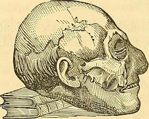 An illustration from Indigenous races of the earth;, 1857, leaf 347