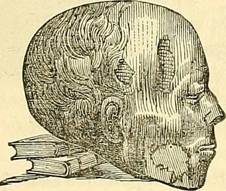 An illustration from Indigenous races of the earth;, 1857, leaf 348