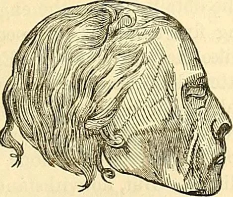 An illustration from Indigenous races of the earth;, 1857, leaf 348
