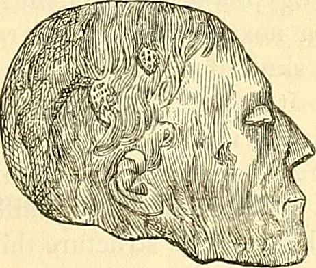 An illustration from Indigenous races of the earth;, 1857, leaf 348
