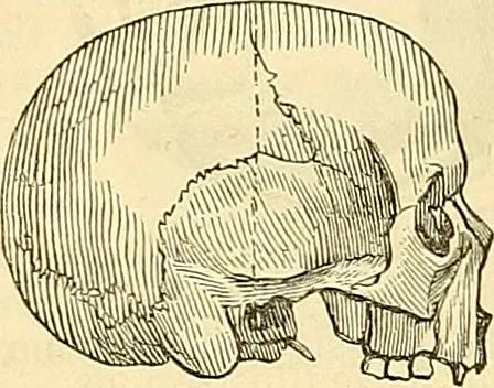 An illustration from Indigenous races of the earth;, 1857, leaf 349