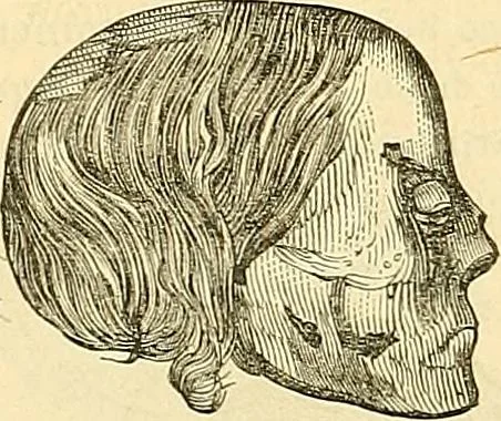 An illustration from Indigenous races of the earth;, 1857, leaf 349