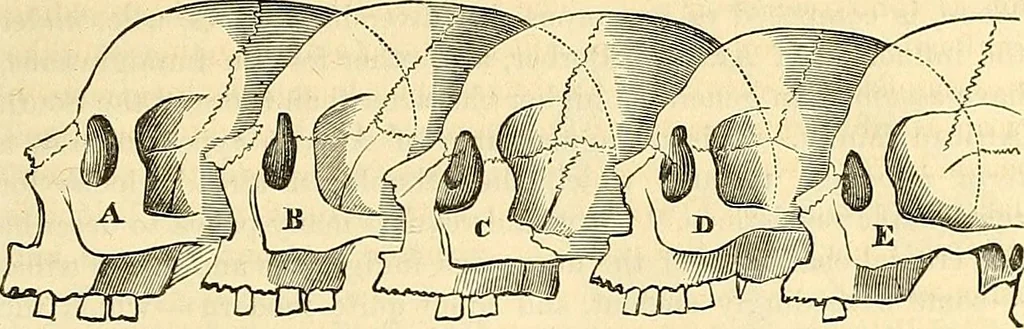 An illustration from Indigenous races of the earth;, 1857, leaf 350