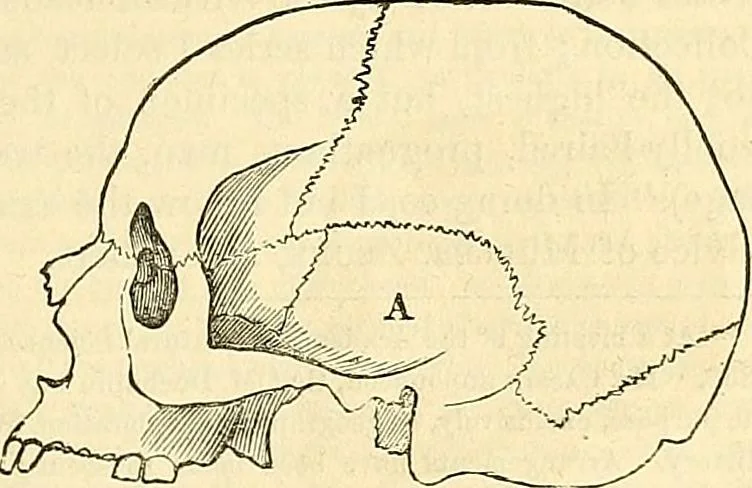 An illustration from Indigenous races of the earth;, 1857, leaf 350