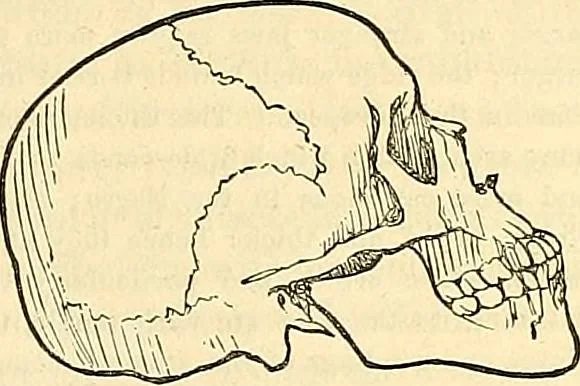 An illustration from Indigenous races of the earth;, 1857, leaf 352