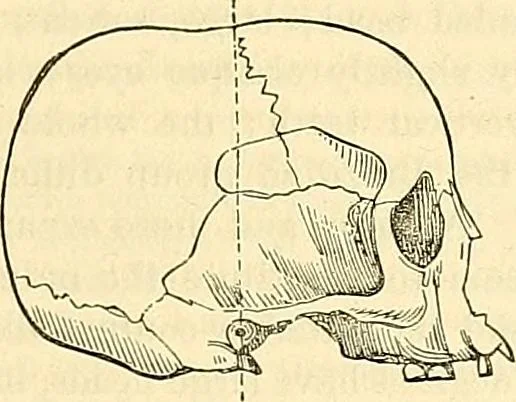 An illustration from Indigenous races of the earth;, 1857, leaf 358