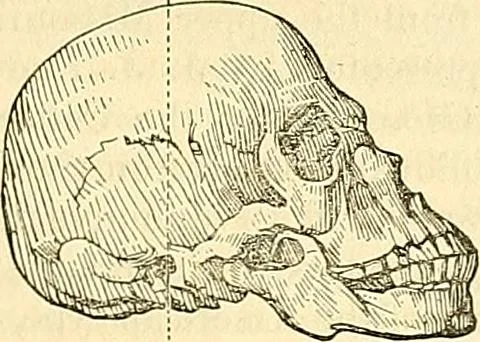 An illustration from Indigenous races of the earth;, 1857, leaf 358