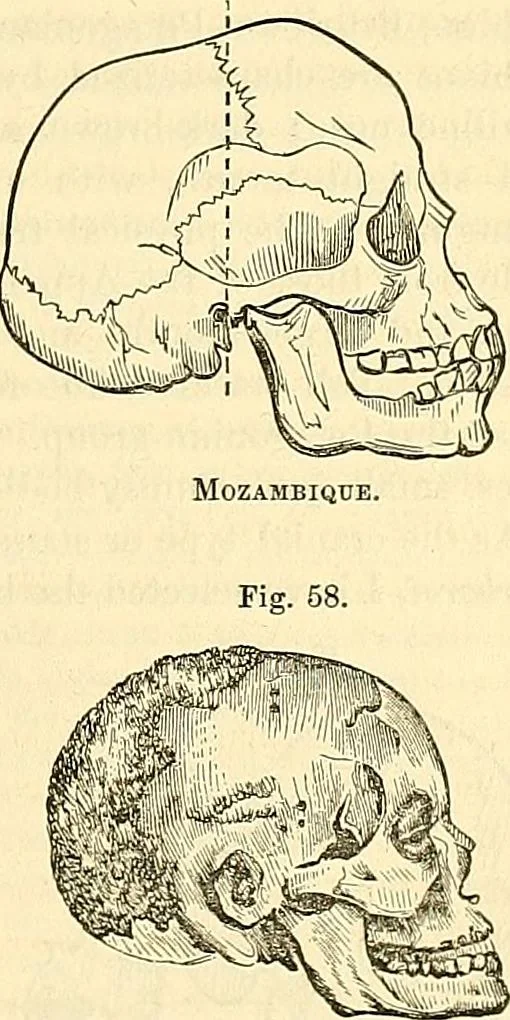 An illustration from Indigenous races of the earth;, 1857, leaf 358