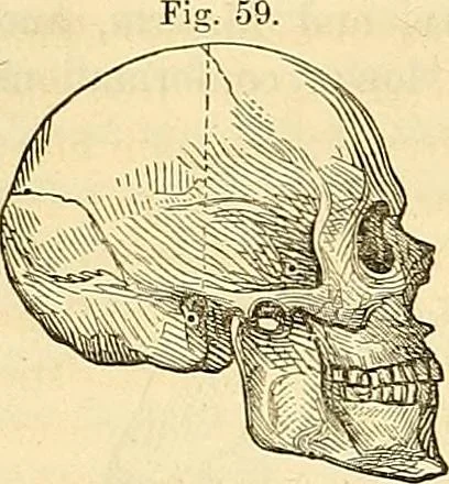 An illustration from Indigenous races of the earth;, 1857, leaf 359